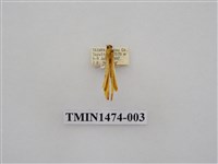 藏品(尺蠖蛾科)的圖片